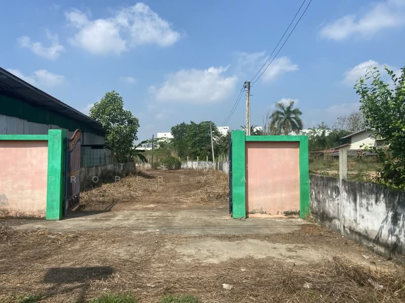 For Sale - ที่ดินพร้อมสิ่งปลูกสร้างหนองใหญ่ ชลบุรี, Chon Buri (Pattaya)