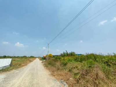 ขาย - ที่ดินบางปะกง ฉะเชิงเทรา, ฉะเชิงเทรา