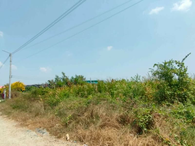 ที่ดินบางปะกง ฉะเชิงเทรา, Chachoengsao, Song Khlong, Bang Pakong, Chachoengsao, , 400 sqm, Land For Sale, by The Best Property กุ้ง, 500196579 - DDproperty.com