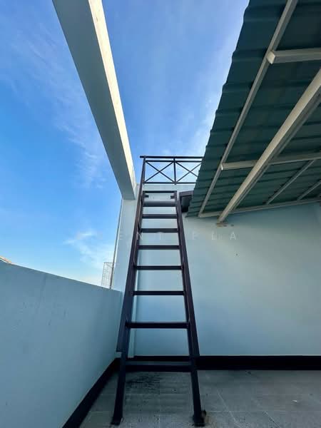 อาคารพาณิชย์ 6 ชั้น ให้เช่า ใกล้บีทีเอสสำโรง (SPSAD3880), สมุทรปราการ, JHVV+5PG Samrong Nuea, Mueang Samut Prakan District, Samut Prakan, สำโรงเหนือ, เมืองสมุทรปราการ, สมุทรปราการ, 365 ตร.ม., ตึกแถว-อาคารพาณิชย์ ให้เช่า, โดย Agent Pla, 500196613 - DDproperty.com