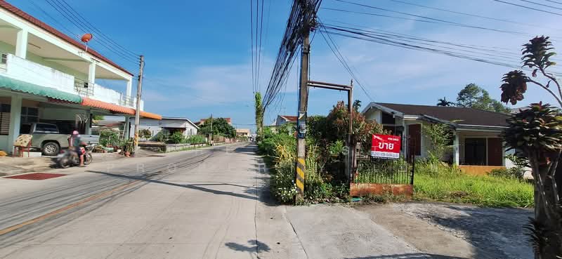 บ้านเดี่ยวท่าวัง นครศรีธรรมราช, นครศรีธรรมราช, ท่าวัง, เมืองนครศรีธรรมราช, นครศรีธรรมราช, 200 ตร.ม., บ้านเดี่ยว ขาย, โดย The Best Property เบล, 500196655 - DDproperty.com