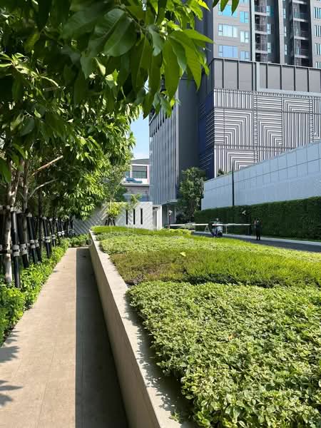 Life Phahon-Ladprao, Bangkok, 996 Phahonyothin Road, Jom Phon, Chatuchak, Bangkok, 1 Bedroom, 35 sqm, Condo For Rent, by Hathairat  Rookphan  , 500196700 - DDproperty.com