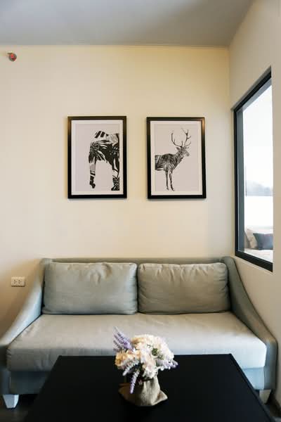 IDEO Sukhumvit 93, Bangkok, 2331 Soi Sukhumvit 93, Bang Chak, Phra Khanong, Bangkok, 1 Bedroom, 34 sqm, Condo For Rent, by Thanakit  Martiniani, 500196842 - DDproperty.com