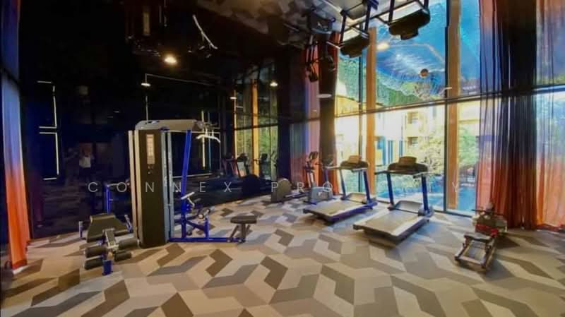 The Base Sukhumvit 50 : เดอะ เบส สุขุมวิท 50, กรุงเทพ, ซอยเริ่มเจริญ แยก 1 ถนนสุขุมวิท 50, พระโขนง, คลองเตย, กรุงเทพ, 26 ตร.ม., คอนโด ขาย, โดย Connex Property, 500196875 - DDproperty.com