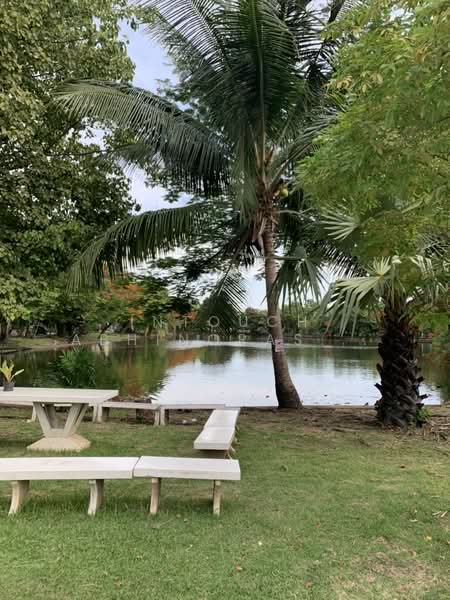 Sammakon Ramkhamhaeng, Bangkok, Ramkhamhaeng Road, Saphan Sung, Saphan Sung, Bangkok, 4 Bedrooms, 170 sqm, Single Detached House For Sale, by Intouch Abhinorasaeth, 500196899 - DDproperty.com