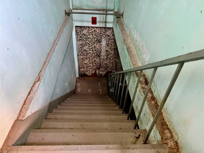 อาคารพาณิชย์ 3.5 ชั้น 11.4 ตร.ว. อาคารพาณิชย์ อยู่ในตลาดบางเขน ถนนพหลโยธิน, Bangkok, Sena Nikhom, Chatuchak, Bangkok, , 100 sqm, Shophouse For Sale, by คุณ วนิดา ศิริสุขชัยวุฒิ (ดา), 500196910 - DDproperty.com