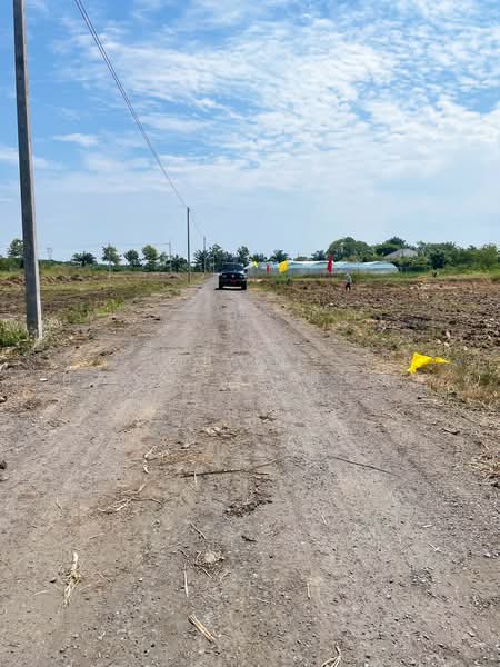 ที่ีดินเงินผ่อน คลองเจ็ด หนองเสือ ปทุมธานี, Pathum Thani, คลองเจ็ด, Bung Cham O, Nong Sua, Pathum Thani, , 400 sqm, Land For Sale, by ธนัชพร อุดมเจริญสินชัย, 500196934 - DDproperty.com