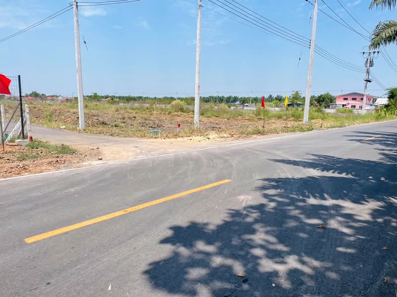 ที่ีดินเงินผ่อน คลองเจ็ด หนองเสือ ปทุมธานี, Pathum Thani, คลองเจ็ด, Bung Cham O, Nong Sua, Pathum Thani, , 400 sqm, Land For Sale, by ธนัชพร อุดมเจริญสินชัย, 500196934 - DDproperty.com