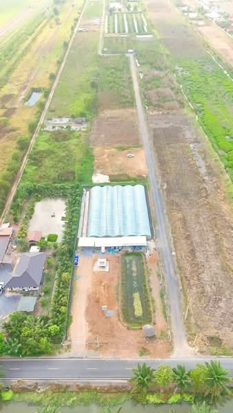ที่ีดินเงินผ่อน คลองเจ็ด หนองเสือ ปทุมธานี, Pathum Thani, คลองเจ็ด, Bung Cham O, Nong Sua, Pathum Thani, , 400 sqm, Land For Sale, by ธนัชพร อุดมเจริญสินชัย, 500196934 - DDproperty.com