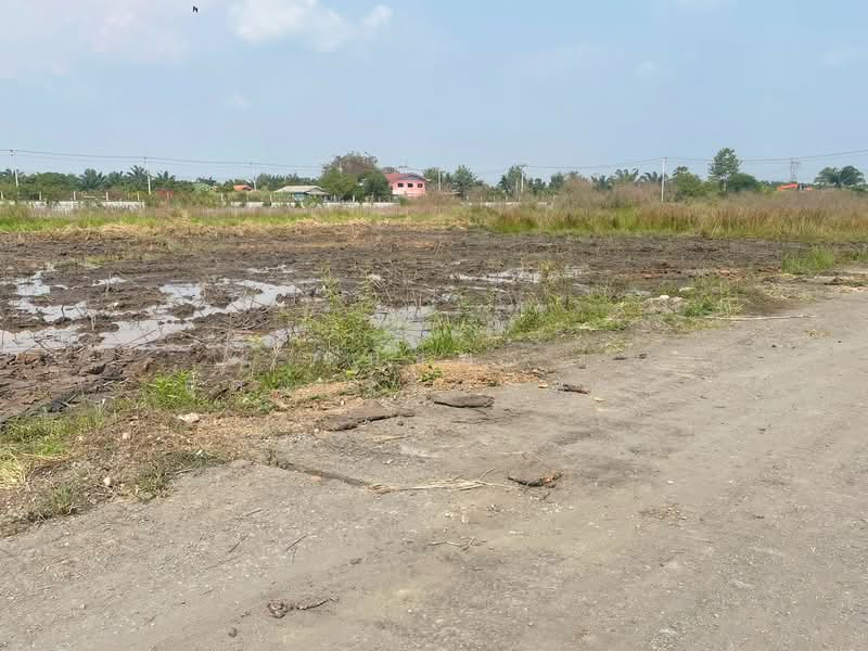 ที่ีดินเงินผ่อน คลองเจ็ด หนองเสือ ปทุมธานี, Pathum Thani, คลองเจ็ด, Bung Cham O, Nong Sua, Pathum Thani, , 400 sqm, Land For Sale, by ธนัชพร อุดมเจริญสินชัย, 500196934 - DDproperty.com