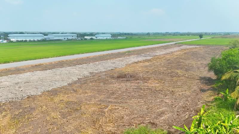 คลองสิบ ลำลูกากา ปทุมธานี, Pathum Thani, Bung Thong Lang, Lam Luk Ka, Pathum Thani, , 1,600 sqm, Land For Sale, by ธนัชพร อุดมเจริญสินชัย, 500196964 - DDproperty.com