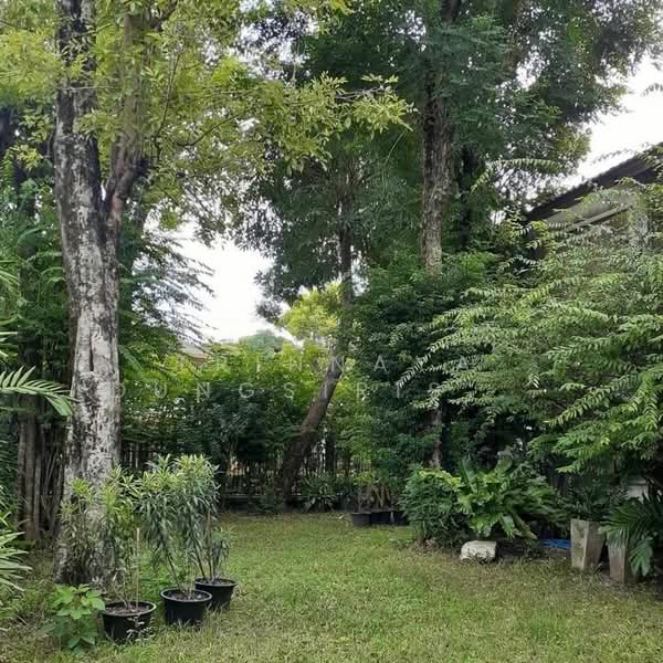 Sammakon Ramkhamhaeng : สัมมากร รามคำแหง, กรุงเทพ, ถนนรามคำแหง, สะพานสูง, สะพานสูง, กรุงเทพ, 250 ตร.ม., บ้านเดี่ยว ให้เช่า, โดย Trinnaya Dungsirisangthong, 500197078 - DDproperty.com