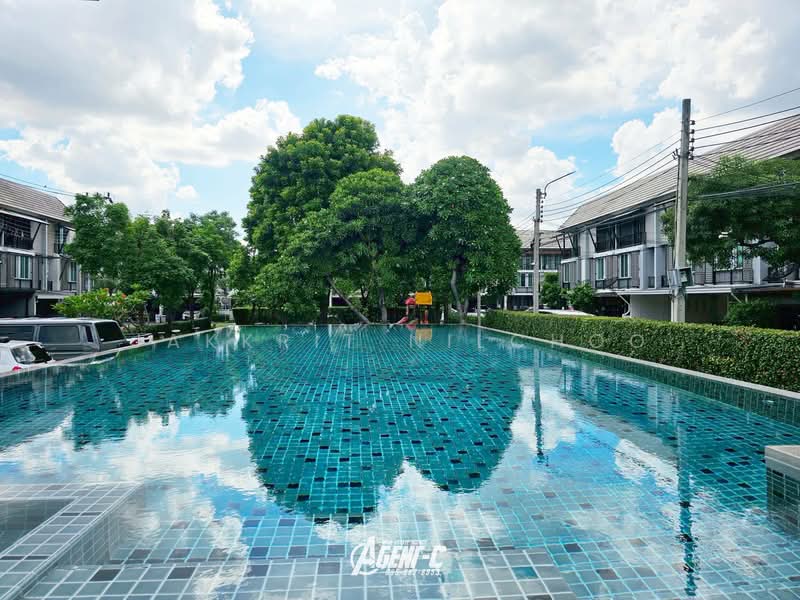 Areeya Daily Kaset-Nawamintr : อารียา เดลี่ เกษตร-นวมินทร์, กรุงเทพ, ถนนลาดปลาเค้า, จรเข้บัว, ลาดพร้าว, กรุงเทพ, 160 ตร.ม., ทาวน์เฮ้าส์ ขาย, โดย Jakkrit Nilchoo, 500197140 - DDproperty.com