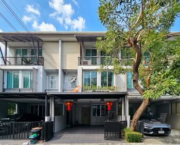 ขาย - Areeya Daily Kaset-Nawamintr : อารียา เดลี่ เกษตร-นวมินทร์, กรุงเทพ