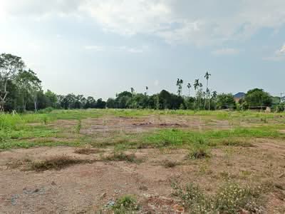 ขาย - ที่ดินพลับพลา จันทบุรี, จันทบุรี