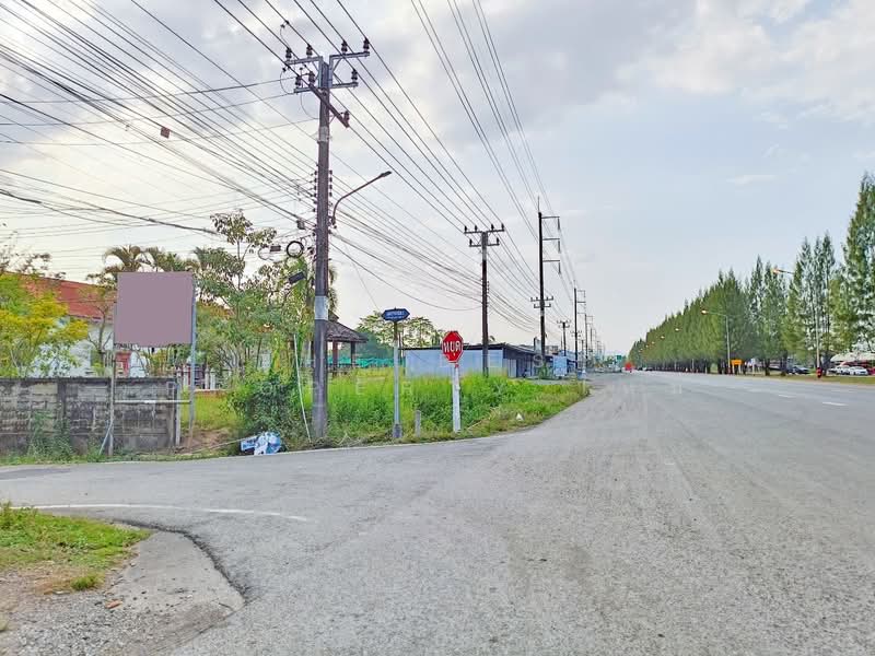 ที่ดินพลับพลา จันทบุรี, จันทบุรี, พลับพลา, เมืองจันทบุรี, จันทบุรี, 7,272 ตร.ม., ที่ดิน ขาย, โดย The Best Property ใหม่, 500197428 - DDproperty.com