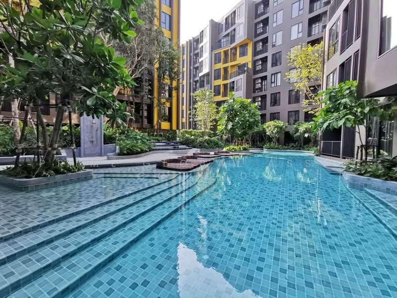 The Base Central, Phuket, Chao Fah Tawan Tok Rd, Wichit, Muang Phuket, Phuket, 1 Bedroom, 29 sqm, Condo For Rent, by Prime Global Asset Co.,Ltd, 500197438 - DDproperty.com