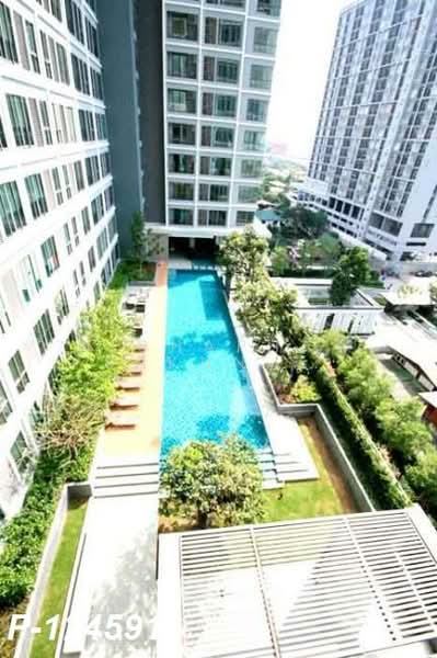 IDEO Wutthakat, Bangkok, Soi Wing Wua, Ratchapruk Road, Bangko, Chom Thong, Bangkok, Studio, 21 sqm, Condo For Rent, by Nichaphat Sakunchayapha, 500197454 - DDproperty.com