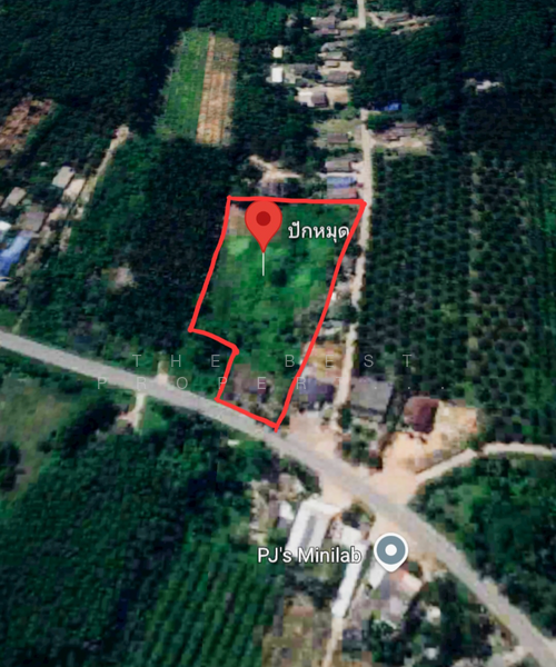 ที่ดินพร้อมสิ่งปลูกสร้างทุ่งใหญ่ นครศรีธรรมราช, Nakhon Si Thammarat, Tha Yang, Thung Yai, Nakhon Si Thammarat, , 9,856 sqm, Land For Sale, by The Best Property ปอน, 500197455 - DDproperty.com