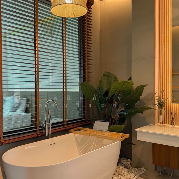 ขายบ้านเขาใหญ่ วิวสวย บรรยากาศดี พร้อมอยู่ ในทำเลดีวิวสวย ราคา 16.9 ล้านบาท 200ตรว., Nakhon Ratchasima, Nong Nam Sang, Pak Chong, Nakhon Ratchasima, 3 Bedrooms, 354 sqm, Villa For Sale, by พลิศภัสร์ โชคธนวีระกานต์, 500197456 - DDproperty.com