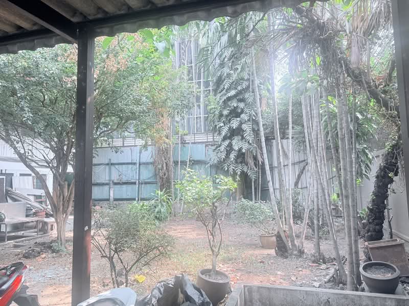 อาคารให้เช่า อโศก สุขุมวิท : Buildings for rent in Asoke, Sukhumvit., กรุงเทพ, คลองเตยเหนือ, วัฒนา, กรุงเทพ, 500 ตร.ม., ตึกแถว-อาคารพาณิชย์ ให้เช่า, โดย TOAH T., 500197503 - DDproperty.com