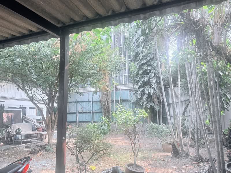 อาคารให้เช่า อโศก สุขุมวิท : Buildings for rent in Asoke, Sukhumvit., กรุงเทพ, คลองเตยเหนือ, วัฒนา, กรุงเทพ, 500 ตร.ม., ตึกแถว-อาคารพาณิชย์ ให้เช่า, โดย TOAH T., 500197503 - DDproperty.com