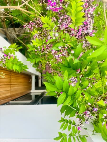 VIVE Rama 9, Bangkok, 38 Krungthep Kreetha Road, Saphan Sung, Saphan Sung, Bangkok, 3 Bedrooms, 324 sqm, Single Detached House For Rent, by Rojjana Jindasri, 500197546 - DDproperty.com