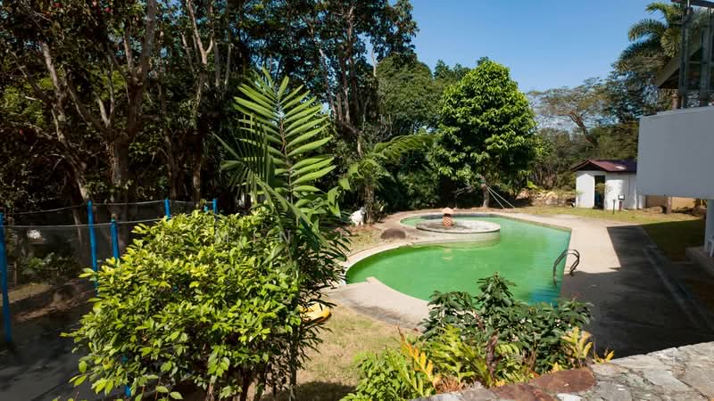 Soi Patchani 5, Phuket, Ratsada, Muang Phuket, Phuket, 5 Bedrooms, 320 sqm, Villa For Rent, by Min Prime, 500197604 - DDproperty.com