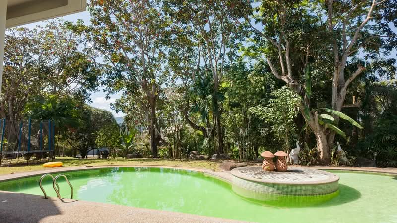 Soi Patchani 5, Phuket, Ratsada, Muang Phuket, Phuket, 5 Bedrooms, 320 sqm, Villa For Rent, by Min Prime, 500197604 - DDproperty.com