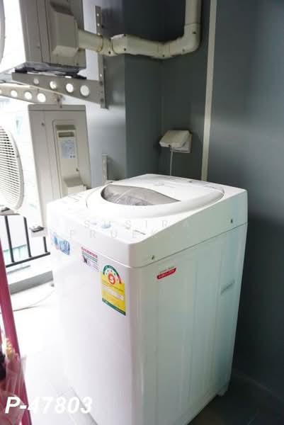 B Republic Sukhumvit 101/1, Bangkok, 101 Sukhumvit, Bang Chak, Phra Khanong, Bangkok, 2 Bedrooms, 41 sqm, Condo For Rent, by Susira Prueksawun, 500197625 - DDproperty.com