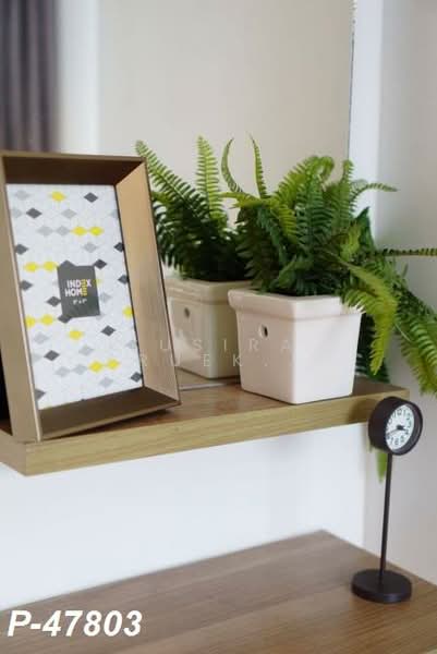 B Republic Sukhumvit 101/1, Bangkok, 101 Sukhumvit, Bang Chak, Phra Khanong, Bangkok, 2 Bedrooms, 41 sqm, Condo For Rent, by Susira Prueksawun, 500197625 - DDproperty.com