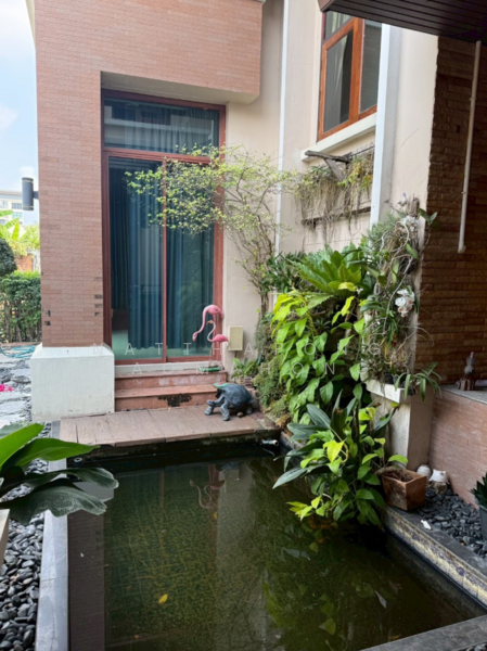 บ้าน 4-ห้องนอน, กรุงเทพ, บางนาใต้, บางนา, กรุงเทพ, 382 ตร.ม., บ้านเดี่ยว ขาย, โดย Natthapong Laomahong, 500197693 - DDproperty.com