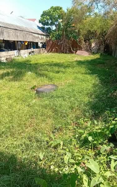 ที่ดินตำบลเกาะแก้ว อ.เมือง จ.นครราชสีมา, Phuket, Ko Kaeo, Muang Phuket, Phuket, , 2,172 sqm, Land For Sale, by WISIT SRIPRASERT, 500197696 - DDproperty.com