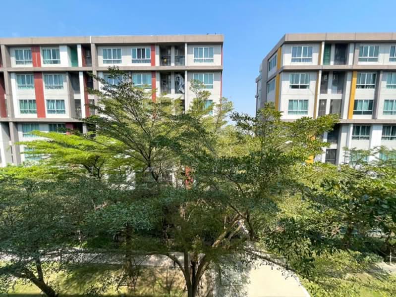 Dcondo Campus Resort Bangna, Samut Prakan, Soi ABAC Bangna, Bangna-Trad Road Km 26, Bang Bo, Bang Bo, Samut Prakan, 1 Bedroom, 30 sqm, Condo For Sale, by ณณัฐ ภัทรจินดานุวงศ์, 500197726 - DDproperty.com