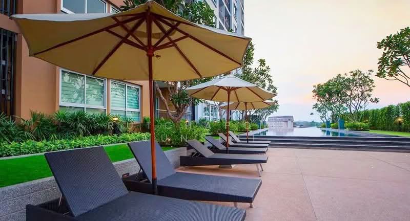 Supalai Monte at Viang, Chiang Mai, Super Highway, Wat Khet, Muang Chiang Mai, Chiang Mai, 1 Bedroom, 32 sqm, Condo For Rent, by Rutchaporn Tunsiri, 500197747 - DDproperty.com