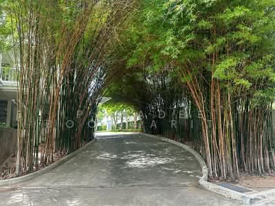 ขาย - Malibu Khao Tao : มาลิบู เขา เต่า, ประจวบคีรีขันธ์