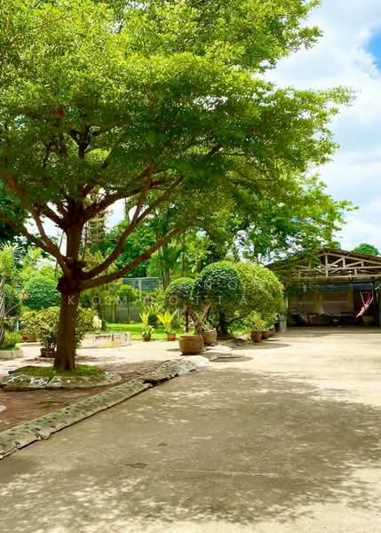 ขายที่ดินพร้อมบ้านเดี่ยว 2 ชั้น สไตล์คลาสสิก กรุงเทพนนท์ 14 ทำเลดี ใกล้ MRTแยกติวานนท์ 150 เมตร, Nonthaburi, Talat Kwan, Muang Nonthaburi, Nonthaburi, 3 Bedrooms, 215 sqm, Single Detached House For Sale, by Jutanon Komoottanaruk, 500197903 - DDproperty.com