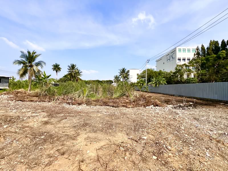 land, Nonthaburi, ถนนกาญจนาภิเษก, Bang Muang, Bang Yai, Nonthaburi, , 6,360 sqm, Land For Sale, by Cherlin  Lophattarakulsart, 500197909 - DDproperty.com