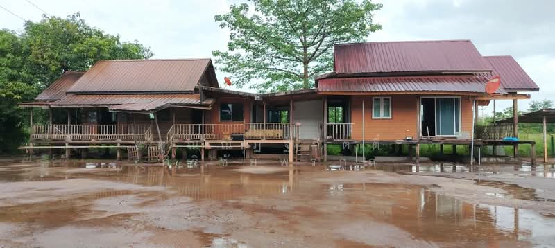 เลขที่ 48/14 หมู่ที่ 5 ถนนเลี่ยงเมืองอุดรธานี, อุดรธานี, เลี่ยงเมืองอุดร, หมากแข้ง, เมืองอุดรธานี, อุดรธานี, 3,926 ตร.ม., โกดัง-โรงงาน ขาย, โดย คุณณัฏฐกิตติ์ ศิริชัยพรกูล, 500197942 - DDproperty.com