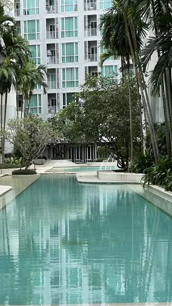 The Base Downtown, Phuket, Wichit Songkhram, Wichit, Muang Phuket, Phuket, 1 Bedroom, 33 sqm, Condo For Rent, by Prime Dew, 500197961 - DDproperty.com