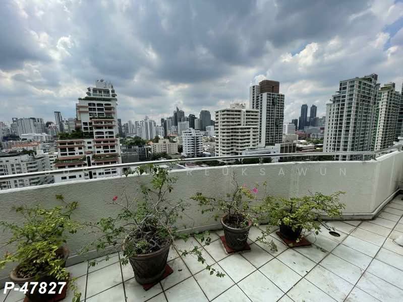 Supalai Place Sukhumvit 39 : ศุภาลัย เพลส สุขุมวิท 39, กรุงเทพ, 175-179 ซอยสุขุมวิท 39 ถนนสุขุมวิท แขวงคลองตันเหนือ เขตวัฒนา กรุงเทพมหานคร, คลองตันเหนือ, วัฒนา, กรุงเทพ, 142 ตร.ม., คอนโด ให้เช่า, โดย Susira Preuksawun, 500197968 - DDproperty.com