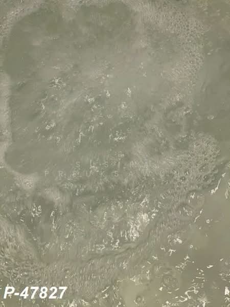 Supalai Place Sukhumvit 39 : ศุภาลัย เพลส สุขุมวิท 39, กรุงเทพ, 175-179 ซอยสุขุมวิท 39 ถนนสุขุมวิท แขวงคลองตันเหนือ เขตวัฒนา กรุงเทพมหานคร, คลองตันเหนือ, วัฒนา, กรุงเทพ, 142 ตร.ม., คอนโด ให้เช่า, โดย Susira Preuksawun, 500197968 - DDproperty.com