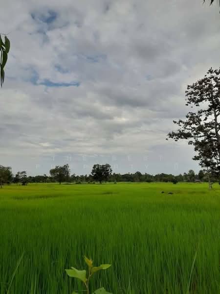 ที่ดินบุ่ง อำนาจเจริญ, Amnat Charoen, Bung, Muang Amnat Charoen, Amnat Charoen, , 13,192 sqm, Land For Sale, by The Best Property บี, 500198003 - DDproperty.com