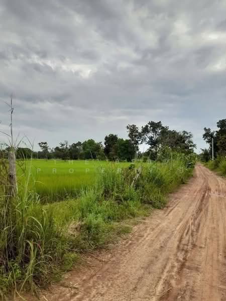 ที่ดินบุ่ง อำนาจเจริญ, Amnat Charoen, Bung, Muang Amnat Charoen, Amnat Charoen, , 13,192 sqm, Land For Sale, by The Best Property บี, 500198003 - DDproperty.com