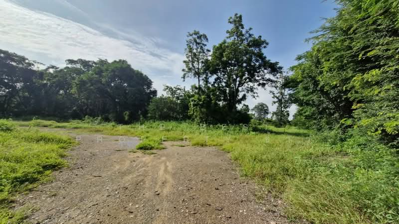 ที่ดินพร้อมสิ่งปลูกสร้างตากฟ้า นครสวรรค์, Nakhon Sawan, Lamphayon, Tak Fa, Nakhon Sawan, , 24,304 sqm, Land For Sale, by The Best Property ข้าว, 500198043 - DDproperty.com