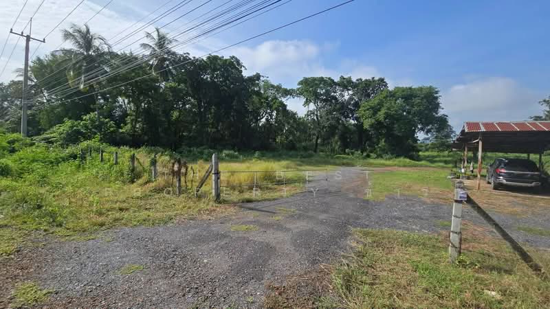 ที่ดินพร้อมสิ่งปลูกสร้างตากฟ้า นครสวรรค์, Nakhon Sawan, Lamphayon, Tak Fa, Nakhon Sawan, , 24,304 sqm, Land For Sale, by The Best Property ข้าว, 500198043 - DDproperty.com