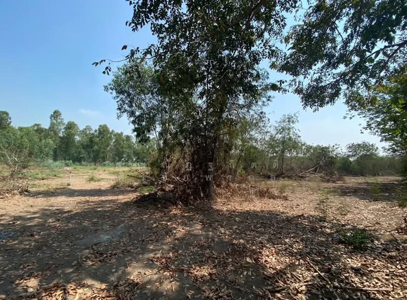 โครงการหมู่บ้าน เวลเนสโฮมบางไทร, Phra Nakhon Si Ayutthaya, ถนนเสนา-สามโคก-ปทุมธานี, Khae Tok, Bang-Sai, Phra Nakhon Si Ayutthaya, , 5,588 sqm, Land For Sale, by คุณณัฏฐกิตติ์ ศิริชัยพรกูล, 500198074 - DDproperty.com