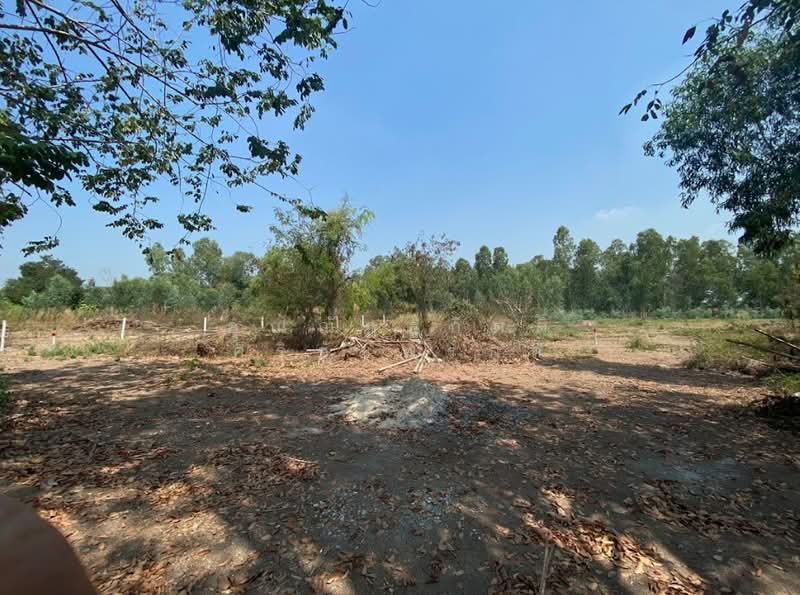 โครงการหมู่บ้าน เวลเนสโฮมบางไทร, พระนครศรีอยุธยา, ถนนเสนา-สามโคก-ปทุมธานี, แคตก, บางไทร, พระนครศรีอยุธยา, 5,588 ตร.ม., ที่ดิน ขาย, โดย คุณณัฏฐกิตติ์ ศิริชัยพรกูล, 500198074 - DDproperty.com