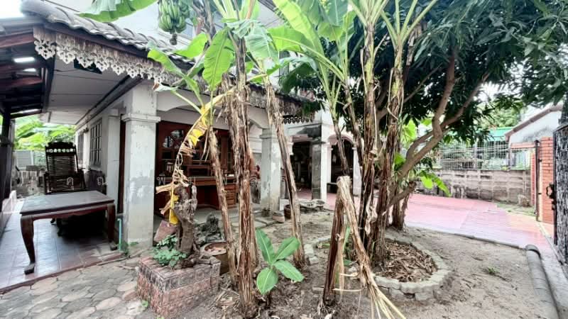 Mu Ban Mit Pracha Villa Phase 15 : หมู่บ้านมิตรประชาวิลล่า โครงการ 15, นนทบุรี, บางบัวทอง, บางบัวทอง, นนทบุรี, 140 ตร.ม., บ้านเดี่ยว ขาย, โดย คุณ พิมพ์สิริ ( ทราย ), 500198078 - DDproperty.com