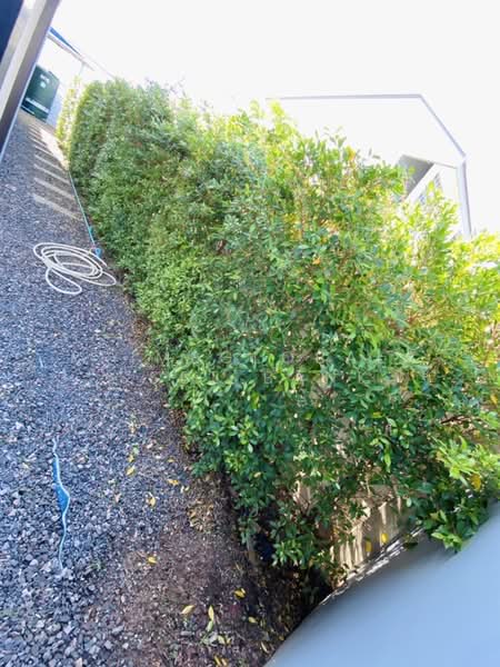 The First House, Phuket, Ratsada, Muang Phuket, Phuket, 3 Bedrooms, 55 sqm, Single Detached House For Rent, by primeglobalasset Bank, 500198111 - DDproperty.com